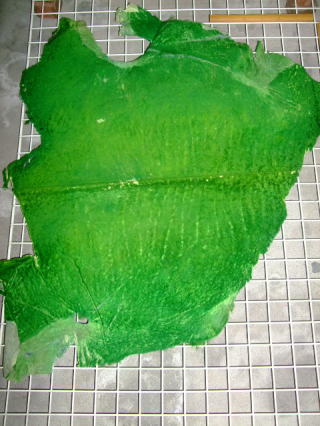 ���U�[�N���t�g�@���[�g��