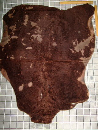 ���U�[�N���t�g�@���[�g��