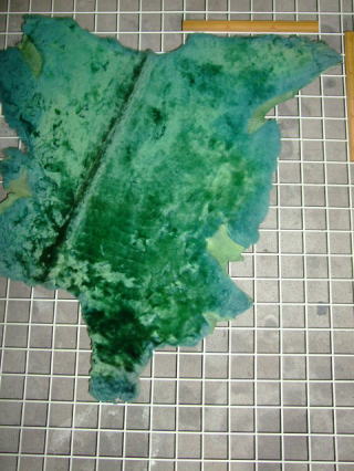 ���U�[�N���t�g�@���[�g��