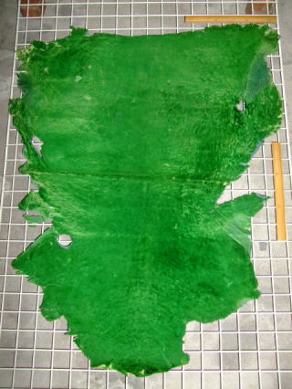 ���U�[�N���t�g�@���[�g��