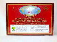 �A�K���N�X�@�T�v��