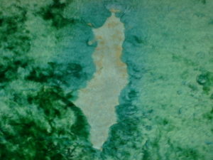 ムートン　毛皮