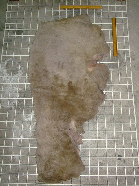 ���[�g���@�r��@�r�v�@LIGHT GRAY�@���C�g�O���C�@�����D�F