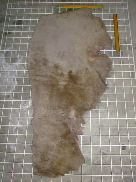 ���[�g���@�r��@�r�v�@LIGHT GRAY�@���C�g�O���C�@�����D�F