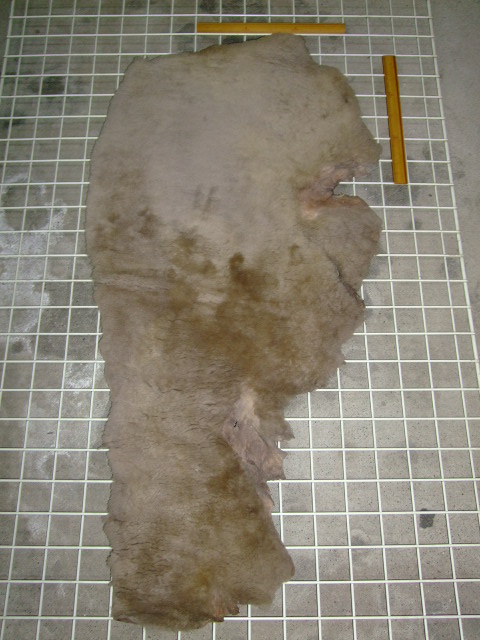 ���[�g���@�r��@�r�v�@LIGHT GRAY�@���C�g�O���C�@�����D�F