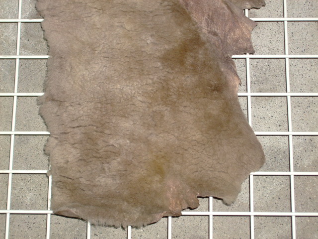 ���[�g���@�r��@�r�v�@LIGHT GRAY�@���C�g�O���C�@�����D�F