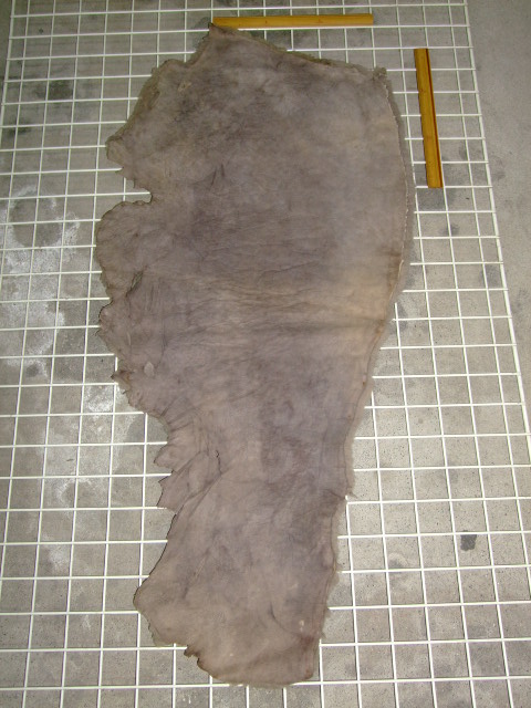 ���[�g���@�r��@�r�v�@LIGHT GRAY�@���C�g�O���C�@�����D�F