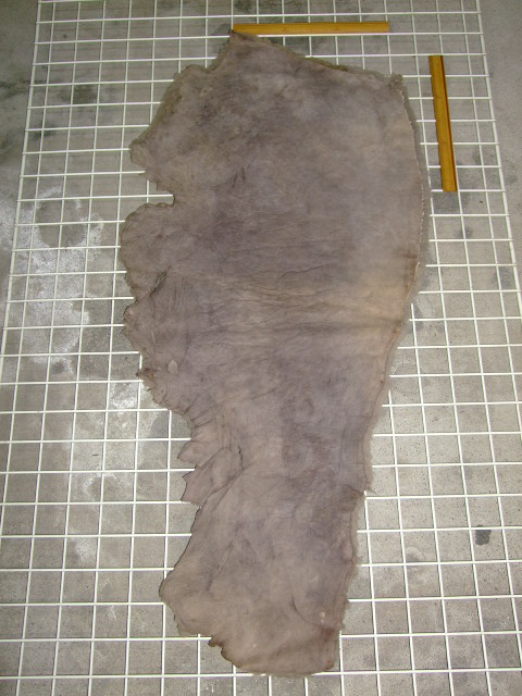 ���[�g���@�r��@�r�v�@LIGHT GRAY�@���C�g�O���C�@�����D�F