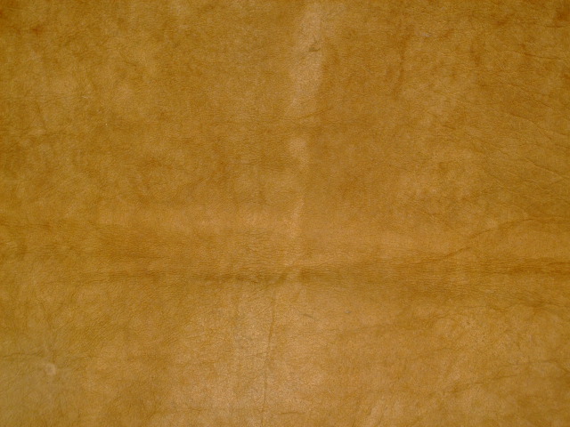 ���[�g���@�r��@�r�v�@LIGHT BROWN�@���C�g�u���E���@���邢�� / BEIGE�@�x�[�W��