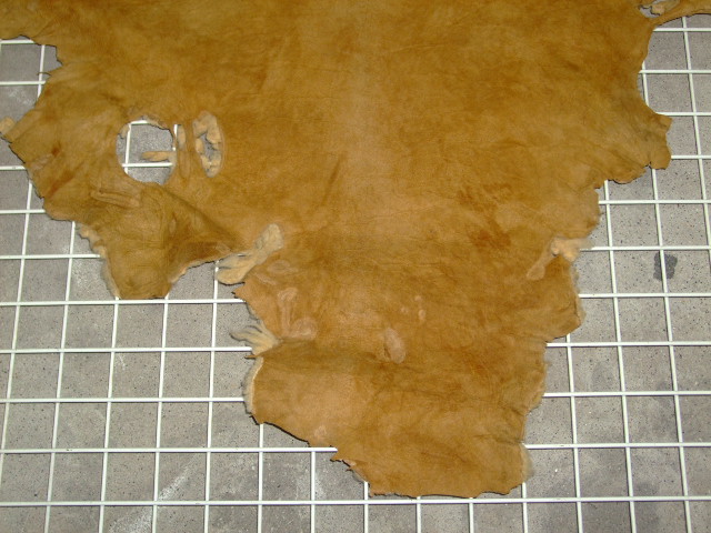 ���[�g���@�r��@�r�v�@LIGHT BROWN�@���C�g�u���E���@���邢�� / BEIGE�@�x�[�W��