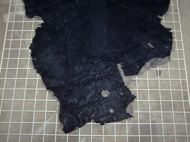 ���[�g���@�r��@�r�v�@LIGHT GRAY�@���C�g�O���C�@�����D�F