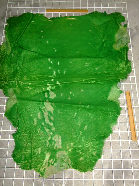 ���[�g���@�r��@�r�v�@GREEN�@�O���[���@��