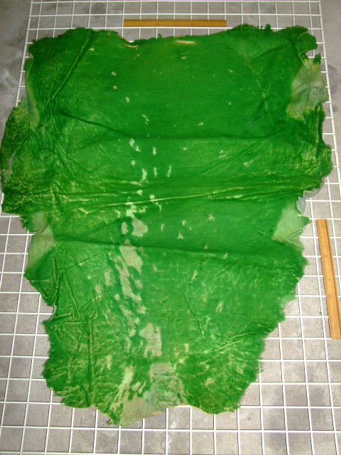 ���[�g���@�r��@�r�v�@GREEN�@�O���[���@��