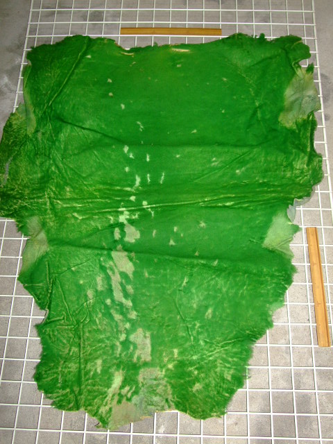 ���[�g���@�r��@�r�v�@GREEN�@�O���[���@��