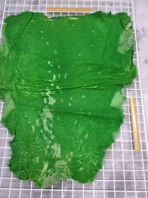 ���[�g���@�r��@�r�v�@GREEN�@�O���[���@��