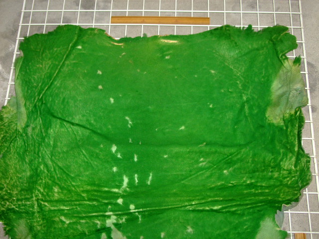 ���[�g���@�r��@�r�v�@GREEN�@�O���[���@��