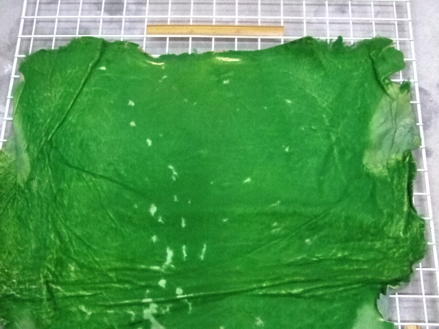 ���[�g���@�r��@�r�v�@GREEN�@�O���[���@��