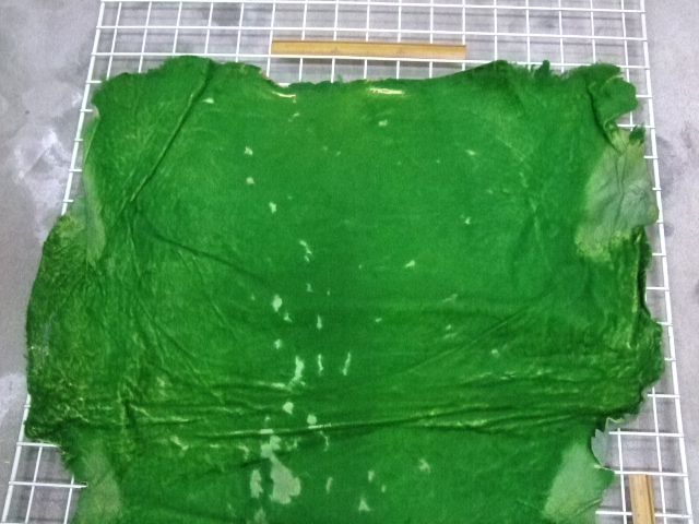 ���[�g���@�r��@�r�v�@GREEN�@�O���[���@��