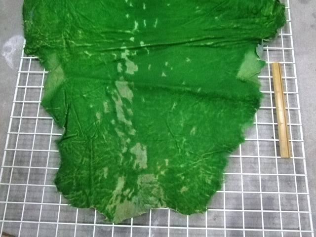 ���[�g���@�r��@�r�v�@GREEN�@�O���[���@��