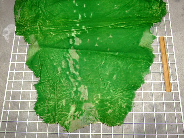 ���[�g���@�r��@�r�v�@GREEN�@�O���[���@��