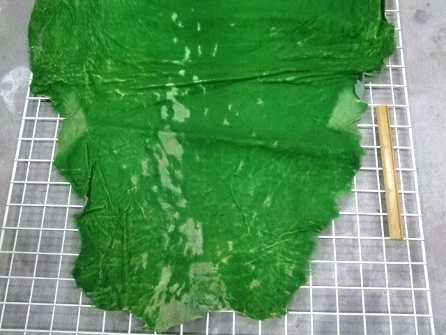 ���[�g���@�r��@�r�v�@GREEN�@�O���[���@��