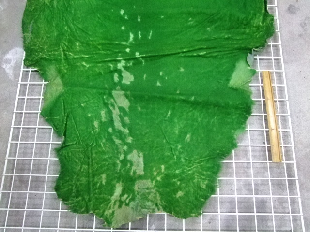 ���[�g���@�r��@�r�v�@GREEN�@�O���[���@��