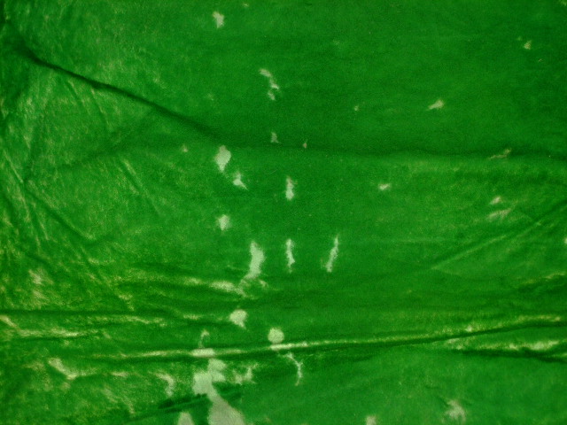 ���[�g���@�r��@�r�v�@GREEN�@�O���[���@��