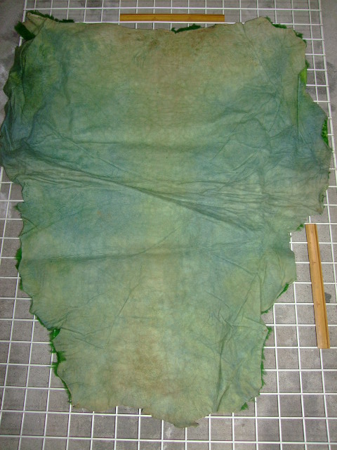 ���[�g���@�r��@�r�v�@GREEN�@�O���[���@��