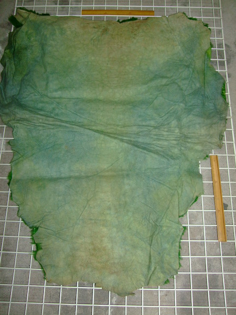 ���[�g���@�r��@�r�v�@GREEN�@�O���[���@��