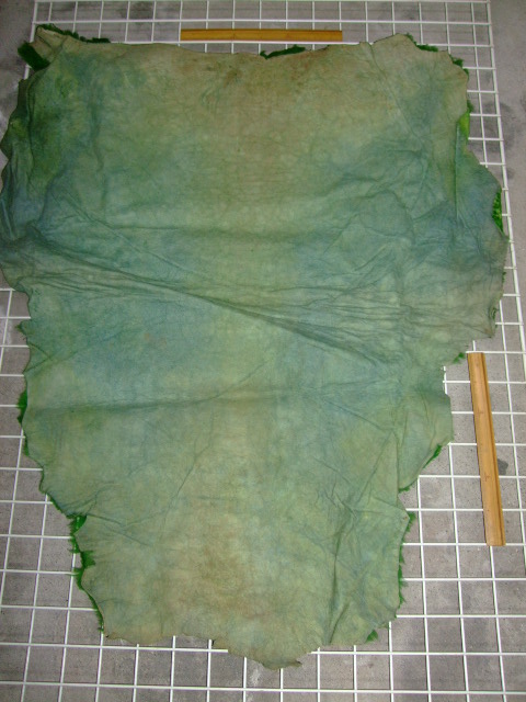 ���[�g���@�r��@�r�v�@GREEN�@�O���[���@��