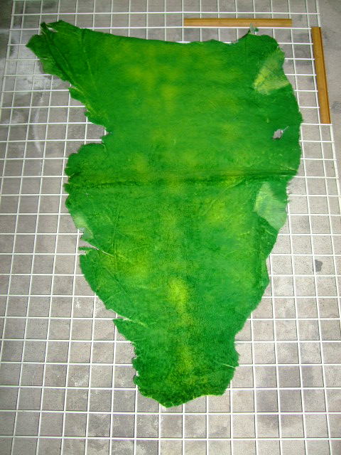 ���[�g���@�r��@�r�v�@GREEN�@�O���[���@��