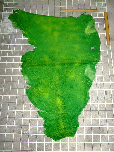 ���[�g���@�r��@�r�v�@GREEN�@�O���[���@��