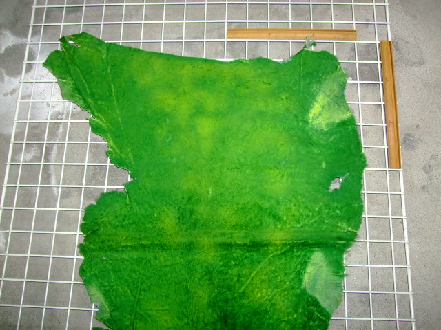 ���[�g���@�r��@�r�v�@GREEN�@�O���[���@��