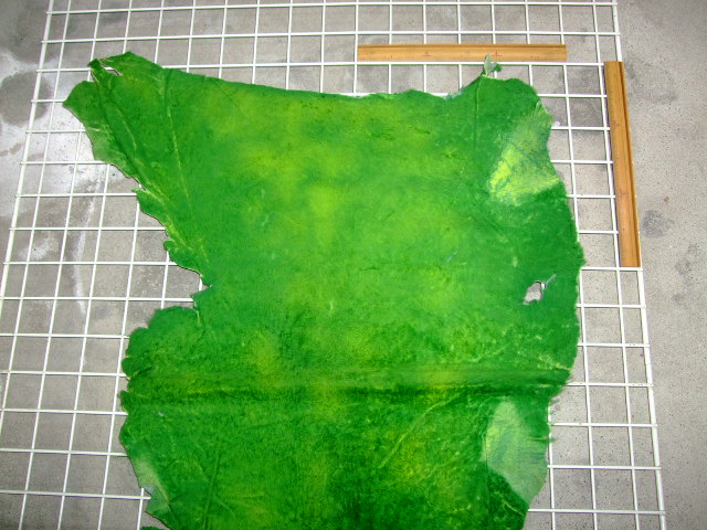 ���[�g���@�r��@�r�v�@GREEN�@�O���[���@��