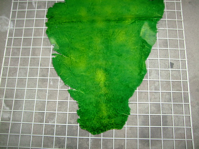 ���[�g���@�r��@�r�v�@GREEN�@�O���[���@��