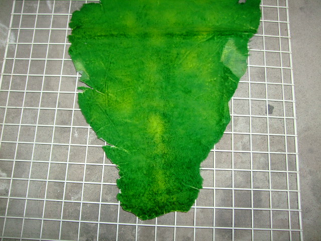 ���[�g���@�r��@�r�v�@GREEN�@�O���[���@��