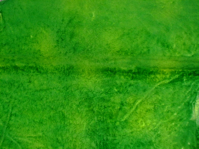 ���[�g���@�r��@�r�v�@GREEN�@�O���[���@��