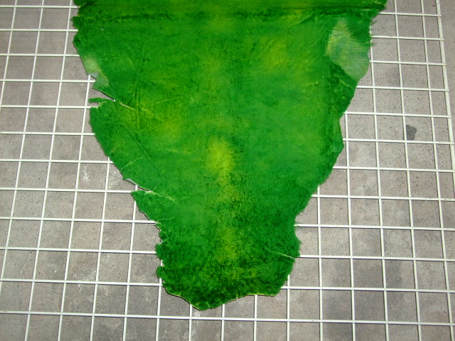 ���[�g���@�r��@�r�v�@GREEN�@�O���[���@��