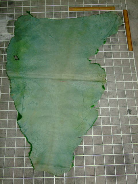 ���[�g���@�r��@�r�v�@GREEN�@�O���[���@��