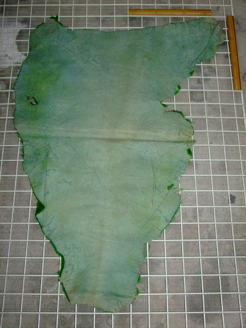 ���[�g���@�r��@�r�v�@GREEN�@�O���[���@��