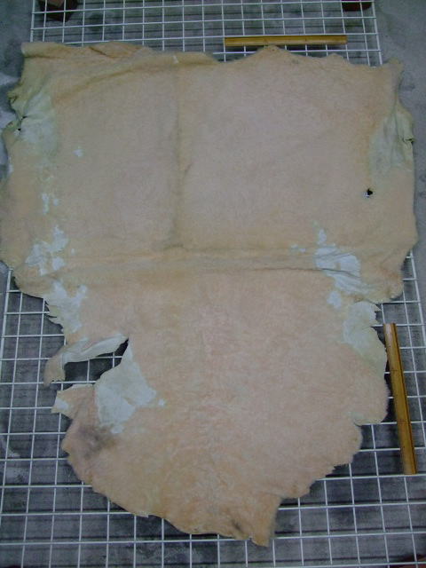 ���[�g���@�r��@�r�v�@LIGHT PINK�@���C�g�s���N�@���s���N