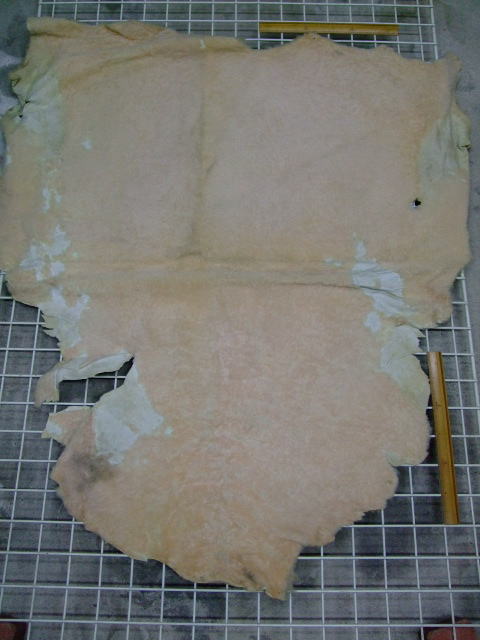 ���[�g���@�r��@�r�v�@LIGHT PINK�@���C�g�s���N�@���s���N