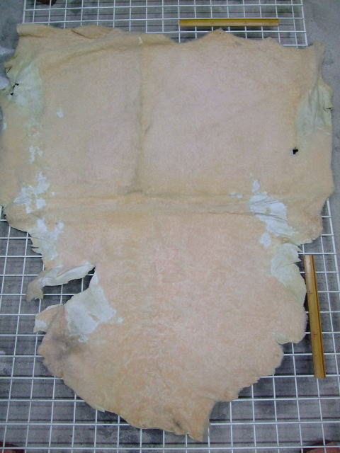 ���[�g���@�r��@�r�v�@LIGHT PINK�@���C�g�s���N�@���s���N