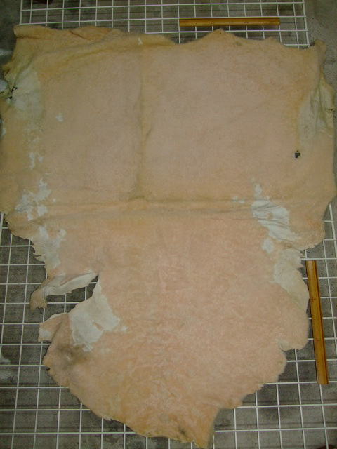 ���[�g���@�r��@�r�v�@LIGHT PINK�@���C�g�s���N�@���s���N