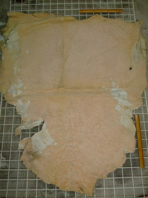 ���[�g���@�r��@�r�v�@LIGHT PINK�@���C�g�s���N�@���s���N