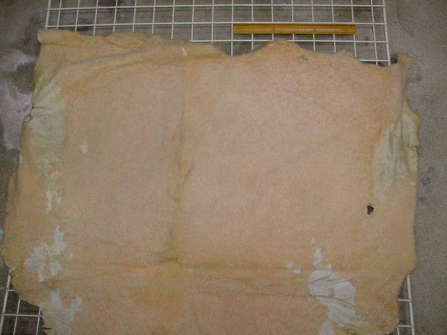 ���[�g���@�r��@�r�v�@LIGHT PINK�@���C�g�s���N�@���s���N