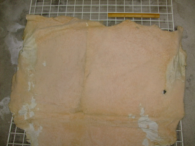 ���[�g���@�r��@�r�v�@LIGHT PINK�@���C�g�s���N�@���s���N