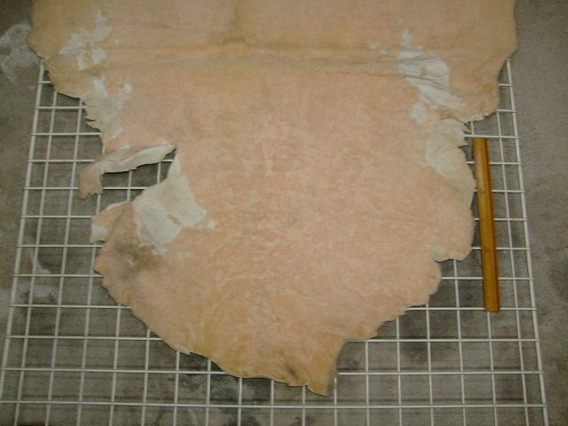 ���[�g���@�r��@�r�v�@LIGHT PINK�@���C�g�s���N�@���s���N