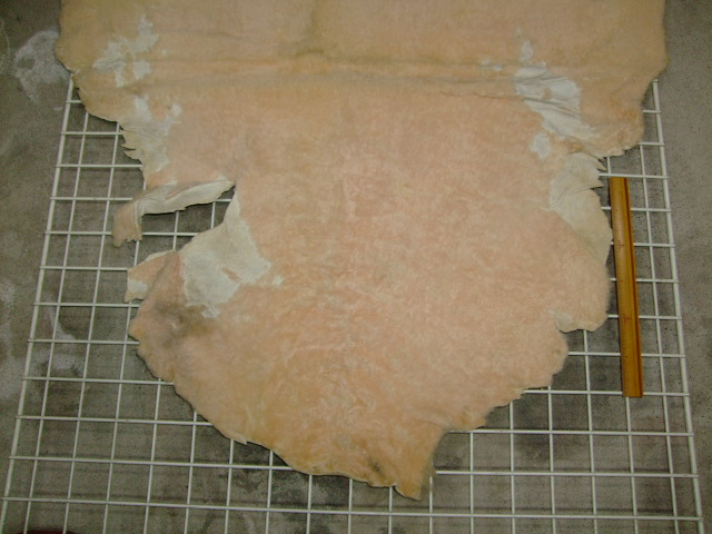 ���[�g���@�r��@�r�v�@LIGHT PINK�@���C�g�s���N�@���s���N