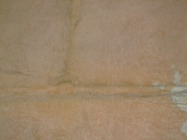 ���[�g���@�r��@�r�v�@LIGHT PINK�@���C�g�s���N�@���s���N